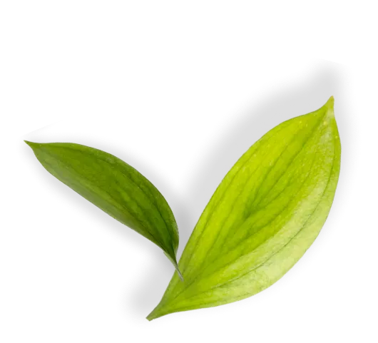caron-environnement-01
